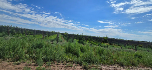 Venta Finca El Carrizal