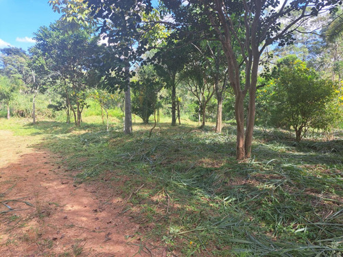 Vanserv Limpeza De Quintal E Lavagem De Caixa Dágua