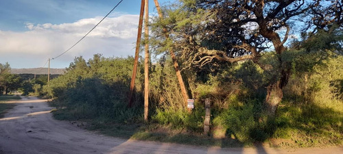 Imagen 9 de 11 de Terreno - Las Calles