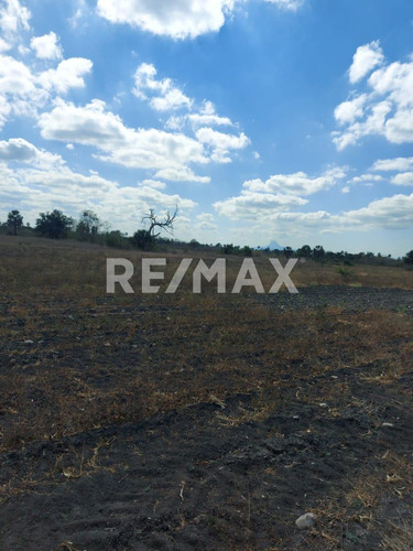 Rancho En Venta En Gonzalez
