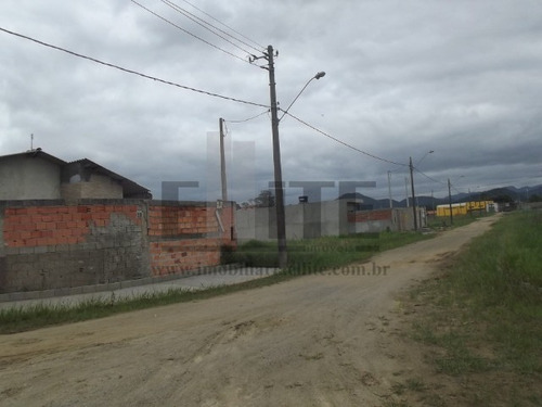 Imagem 11 de 17 de Terreno - Te00049 - 69553093