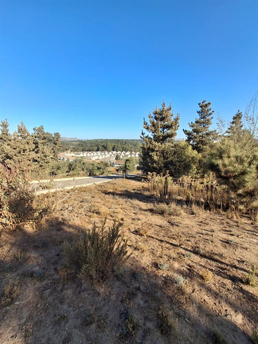 Espectaculares Sitios Planos I Condominio I Los Pinos Reñaca