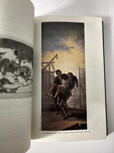 Goya. A La Sombra De Las Luces - Todorov W,1 (Usado)