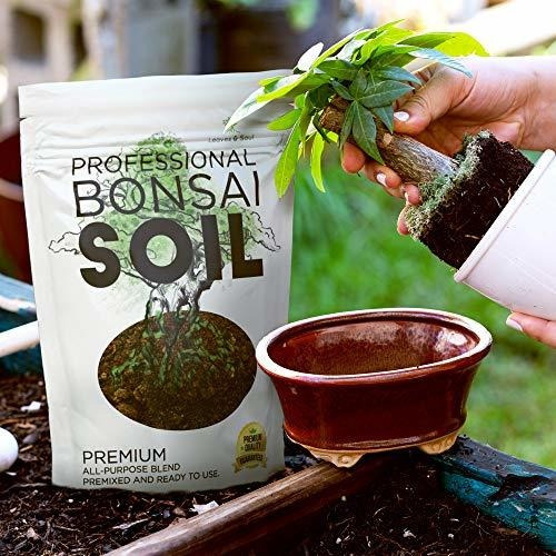 Imagen 4 de 7 de Herramientas Para Bonsai Bonsai Soil Premium Mezcla Multiuso