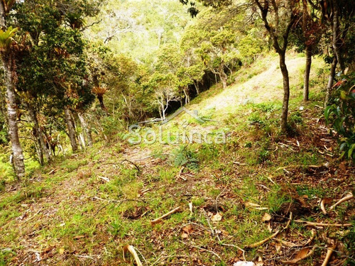 Imagen 15 de 18 de Haciendas - Finca En Venta, Mérida