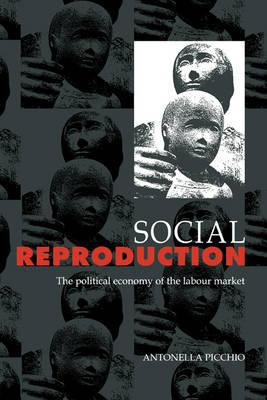 Libro Social Reproduction - Antonella Picchio