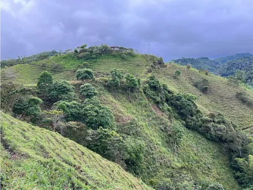 Venta De Finca En Vereda Paramillo, Fresno, Tolima