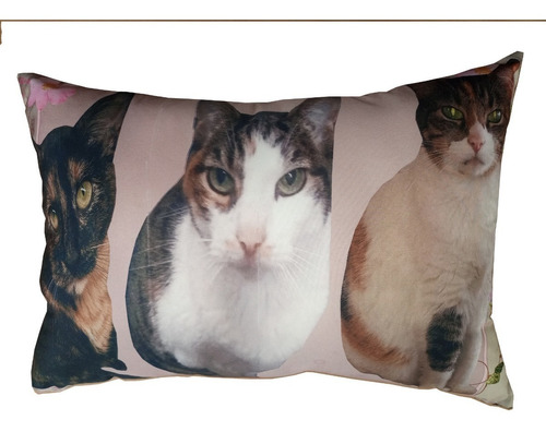 Cojín Decorativo Gatos Mascotas Recordatorios Para Todos