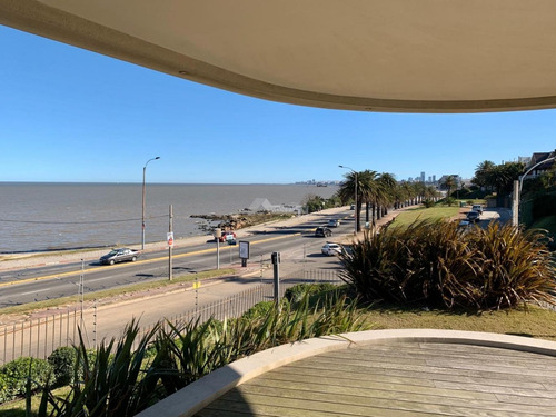 Imagen 7 de 30 de Apartamento Alquiler Venta Punta Gorda 3 Dormitorios Rambla Motivos De Proteo Tza 53m Parrilla Gjex3