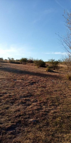 Imagen 21 de 30 de Casa Con Campo 7 Hectareas San Esteban Cordoba
