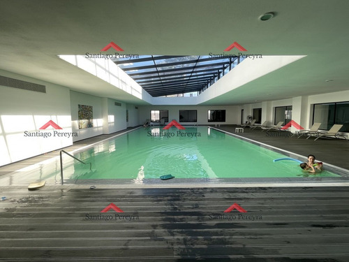 Imagen 10 de 18 de Excelente Apartamento En Torre Moderna Con Amenices