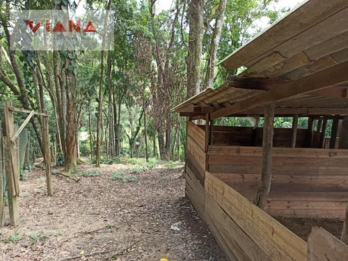 Imagem 4 de 15 de Chácara Em Finco - São Bernardo Do Campo - 11330