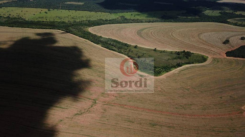 Imagem 19 de 20 de Fazenda À Venda, 4400000 M² Por R$ 22.000.000,00 - Zona Rural - Prata/mg - Fa0109