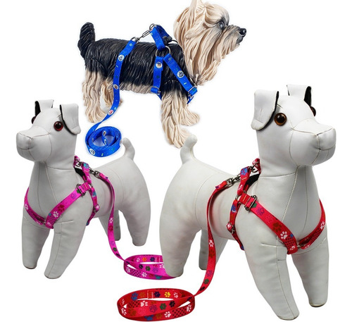 Peitoral Para Cachorros Pequeno Porte Com Guia Cães