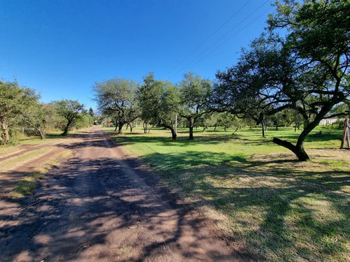 Lote Venta 1000 M2 Santa Rosa De Calamuchita Altos Del Portezuelo Buenas Vistas Sierras Chicas Faldeo De La Sierra