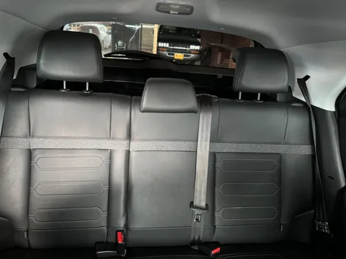 C4 Cactus Shine
