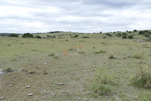 Ruta 39, A 47 Km De Punta Del Este, Venta De Campo Ganadero, Muy Panorámico Y Con Cañadas.