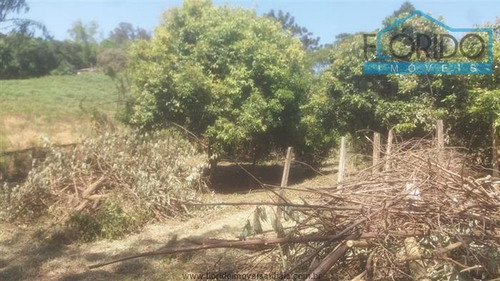 Imagem 26 de 29 de Chácaras À Venda Em Campo Limpo Paulista/sp - Compre O Seu Chácaras Aqui! - 1434391