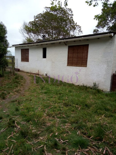 Imagen 22 de 22 de Chacra De 10hta Muy Completa - San Carlos San Carlos