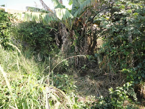 Imagem 5 de 13 de Terreno Grande Com Casa Jd. Pacaembu R$ 350.000,00 Cas00153