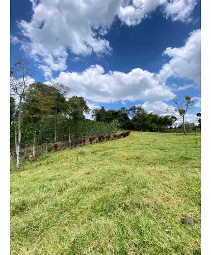 Finca Para La Venta De 5 Cuadras En Circasia