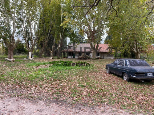 Imagen 5 de 11 de Lote Para Desarrollo