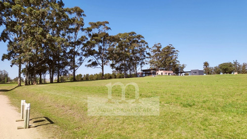 Hermoso Lote Terreno En El Quijote Chacras