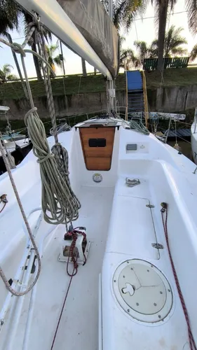 Quantum 29 -