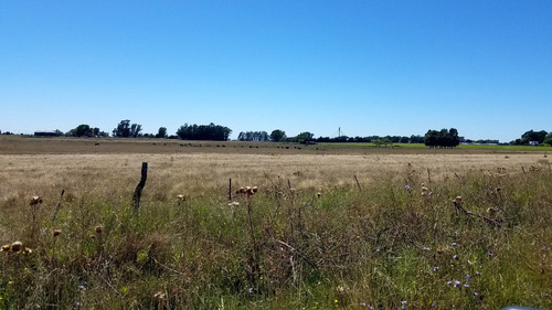 Vendo O Permuto Chacra De 2 Hectareas A 40 Minutos De Tandil