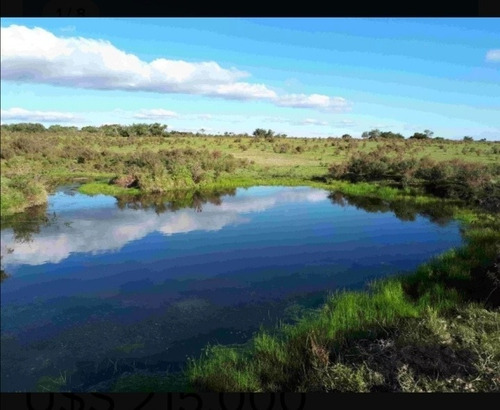 Imagen 1 de 7 de Campo En Venta Tala, Exelente Oportunidad