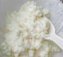 Comprar Kéfir, Hongos De Leche, Búlgaros