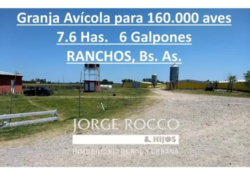 Granja Avícola, Capacidad Para 160.000 Pollos