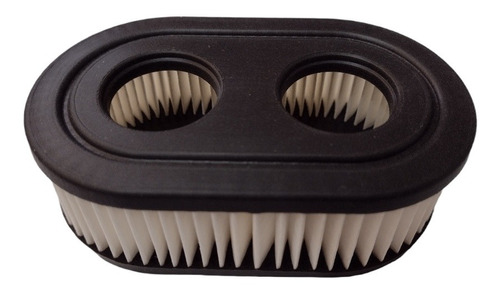 Filtro Aire Briggs Stratton 798452 Mod 450 550 550ex 625 675