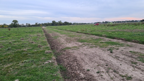 Lotes De 425 Y 600 Mt2 Cerca Del Sum Y De La Entrada! Consulte!