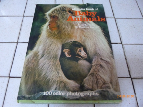 Libro All Color Book Of Baby Animal