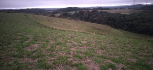 Imagem 13 de 15 de 11o- Terrenos Direto Com O Proprietário