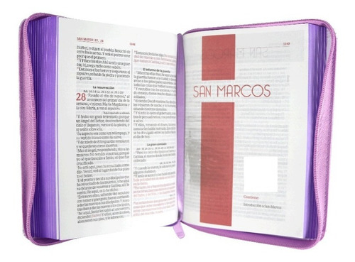 Imagen 4 de 4 de Biblia Rvr-1960 Blanco/mariposa Compacta Con Cierre (6066)
