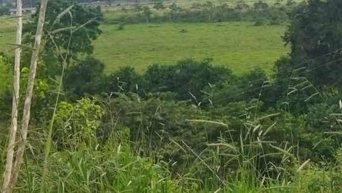Imagen 8 de 14 de Baja De Precio... En Venta Finca En El Municipio Montalban - Carabobo