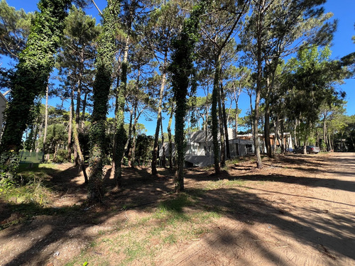 Lote Residencial Con Salida Al Golf En Carilo