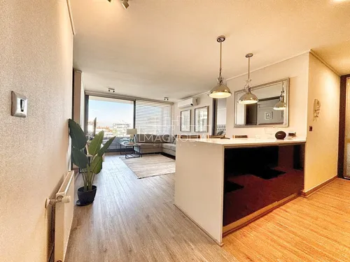 Departamento En Arriendo De 2 Dorm. En Providencia