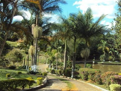 Imagem 19 de 30 de Area - Ar00019 - 1515828