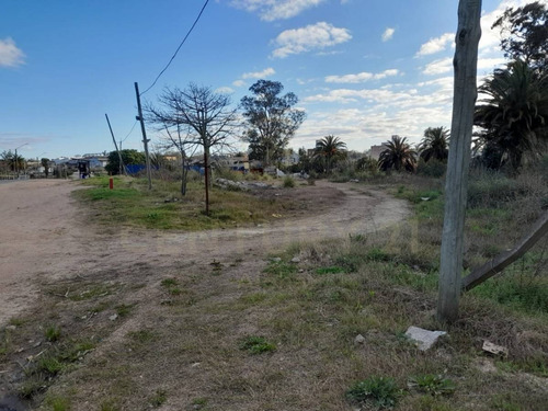 Imagen 14 de 14 de Gran Terreno Con Arroyo Y Casa De 2 Dormitorios En Las Piedras