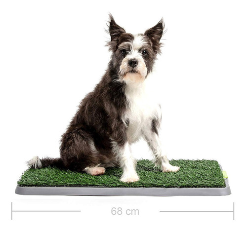 Alfombra De Césped Artificial Para Baño Adiestramiento Perro