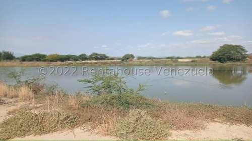 Imagen 10 de 30 de Fina En Venta Quibor Estado Lara, 04245937542