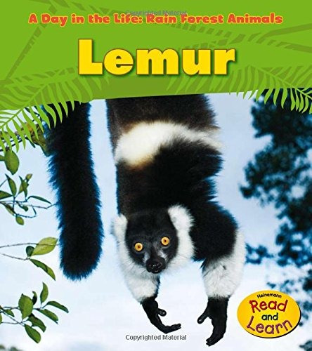 Lemur (a Day In The Life Rain Forest Animals)