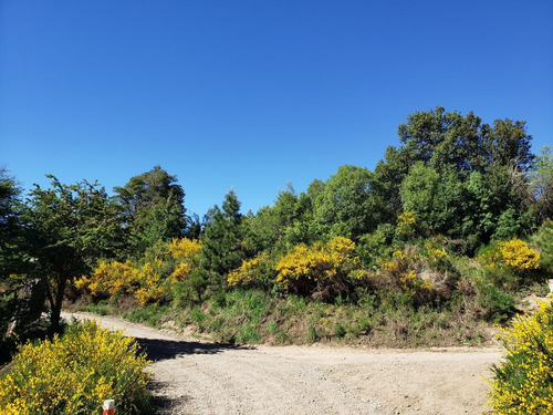 Imagen 5 de 6 de Terreno 500 M2 Altos De Chapelco - San Martin De Los Andes