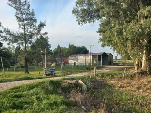 Imagen 2 de 29 de Venta, De Importante Fracciòn De 4 Has, Sobre Ruta Provincial 36.