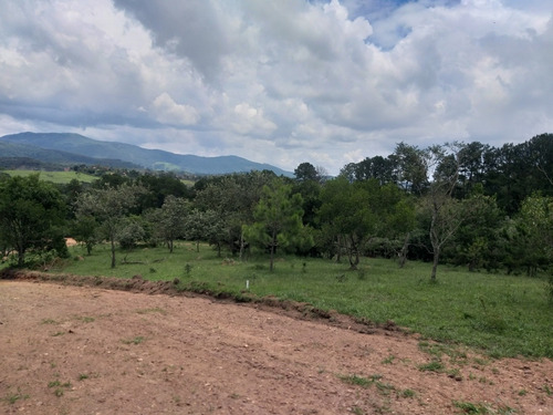 Imagem 7 de 7 de #v# H11-terreno De 500 Metros Aceito Seu Carro