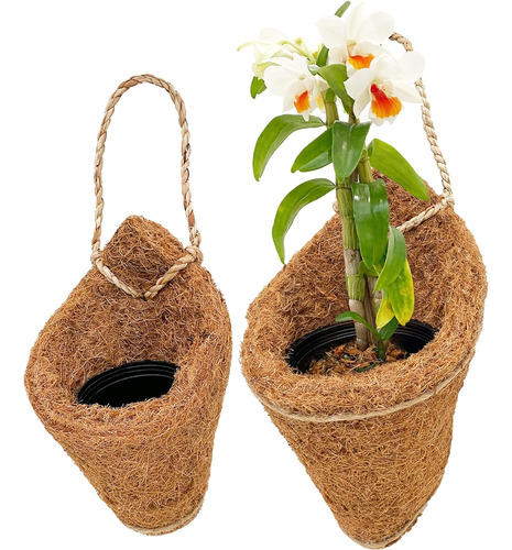 Panwa Canasta De Plantador De Orquídeas Colgantes De Coco De