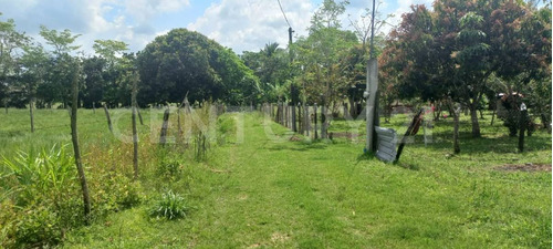 Terreno En Venta Rumbo Al Aeropuerto En Santo Domingo